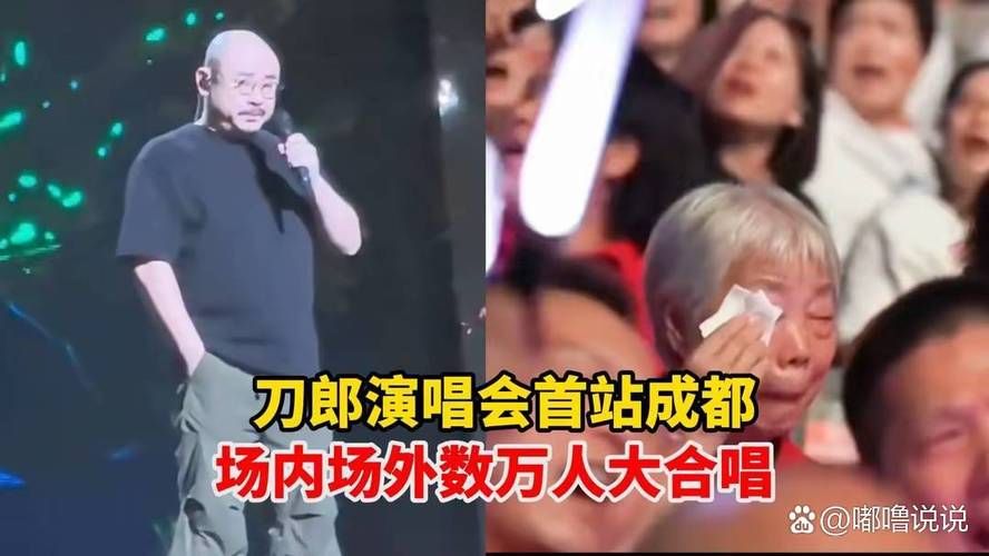 刀郎翻唱刘欢的歌视频