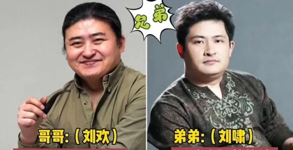 刘啸和刘欢什么关系