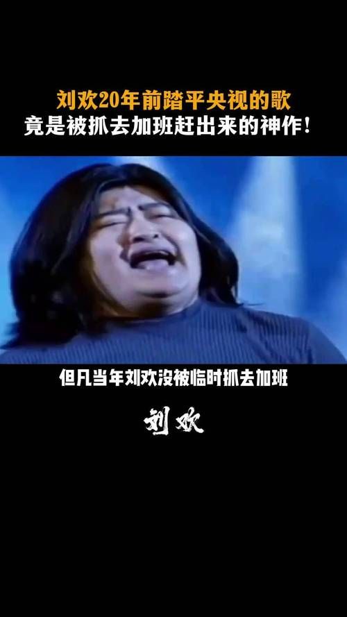刘欢 打脸