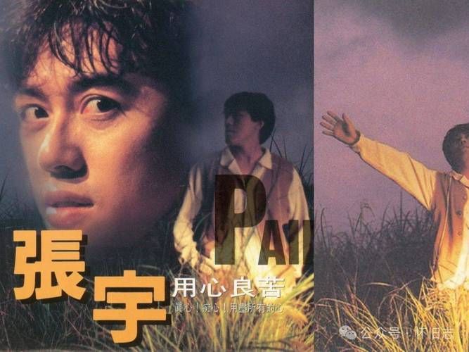 刘欢和张宇