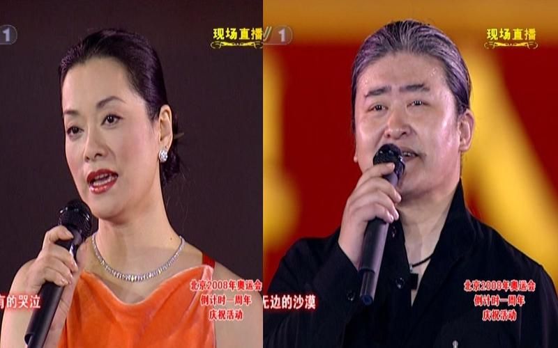 刘欢和毛阿敏的图案