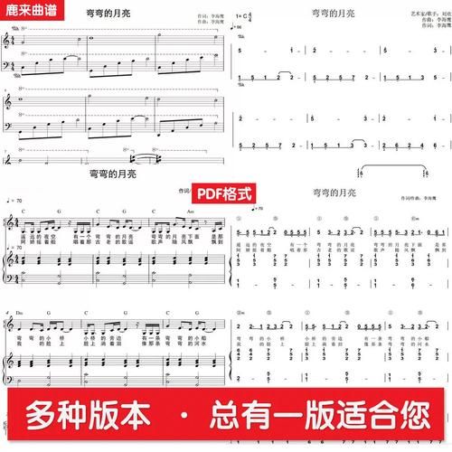 刘欢团队钢琴伴奏国际歌