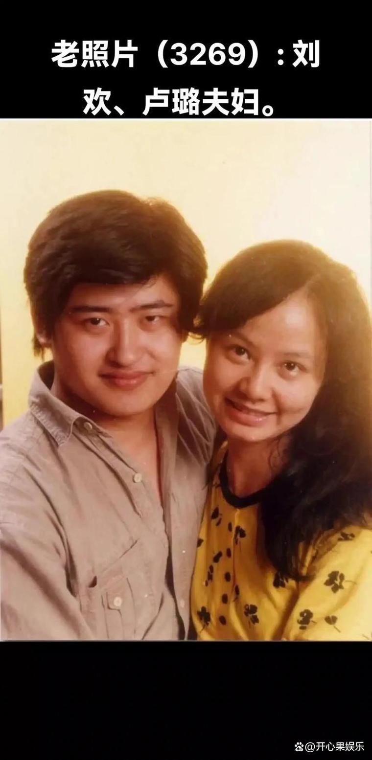 刘欢夫人璐璐写的回忆录