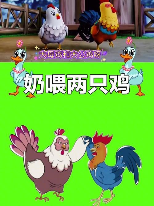 刘欢奶奶喂了两只鸡