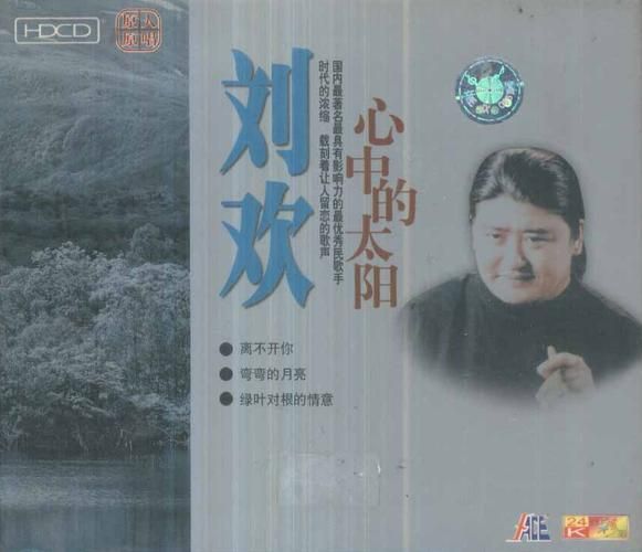 刘欢学生原创歌曲