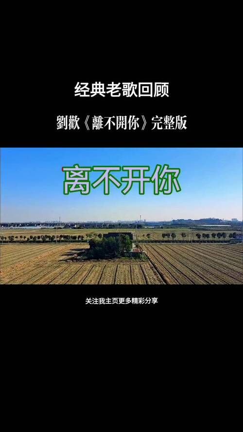 刘欢寅唱离不开你