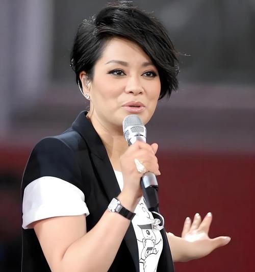 刘欢对毛阿敏的评价