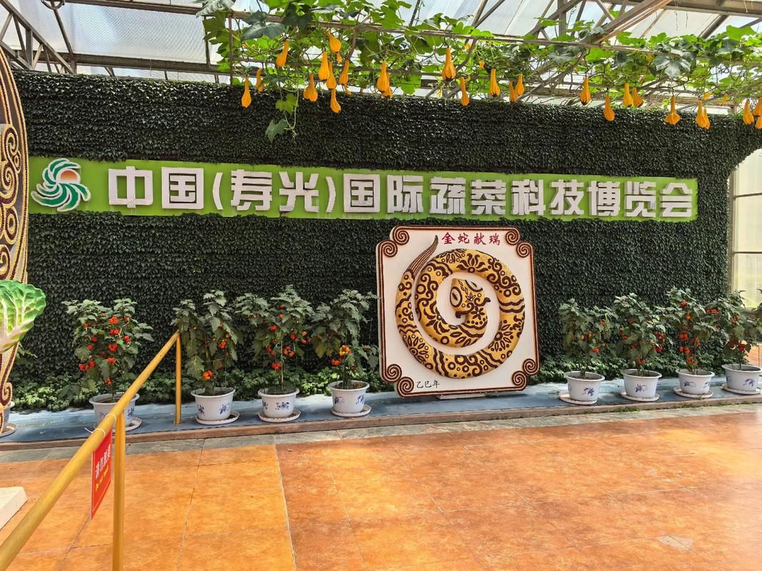 刘欢寿光菜博会视频
