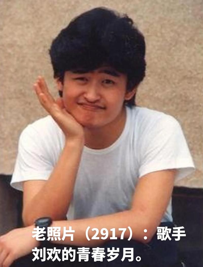 刘欢年轻歌曲下载