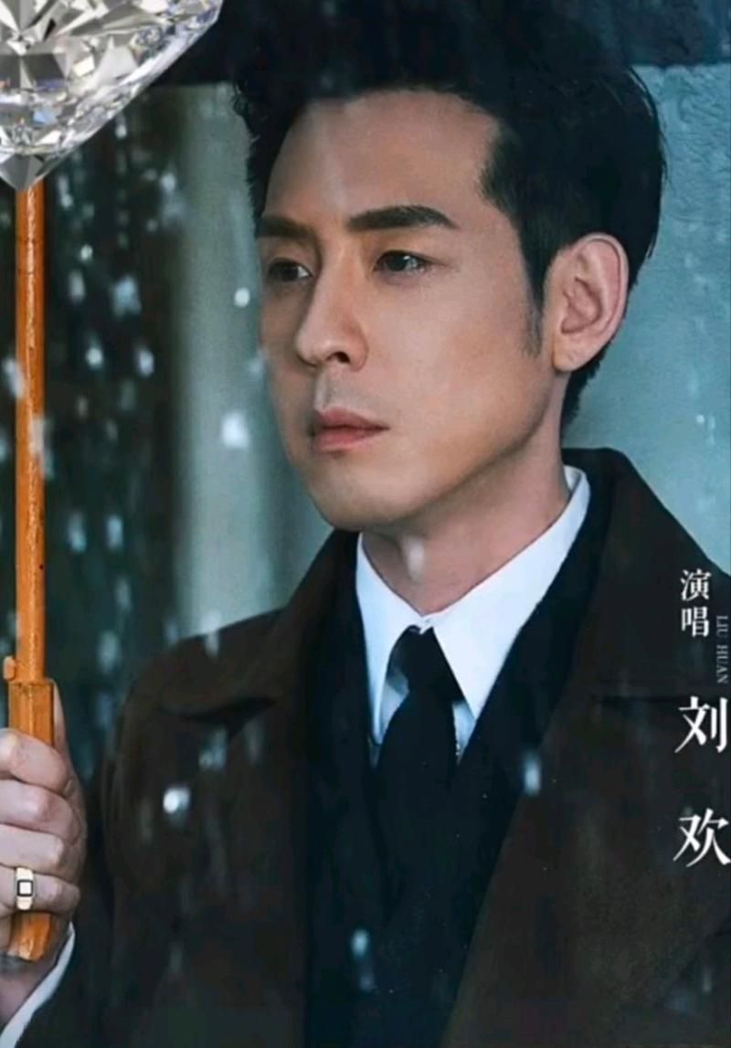 刘欢影视演员
