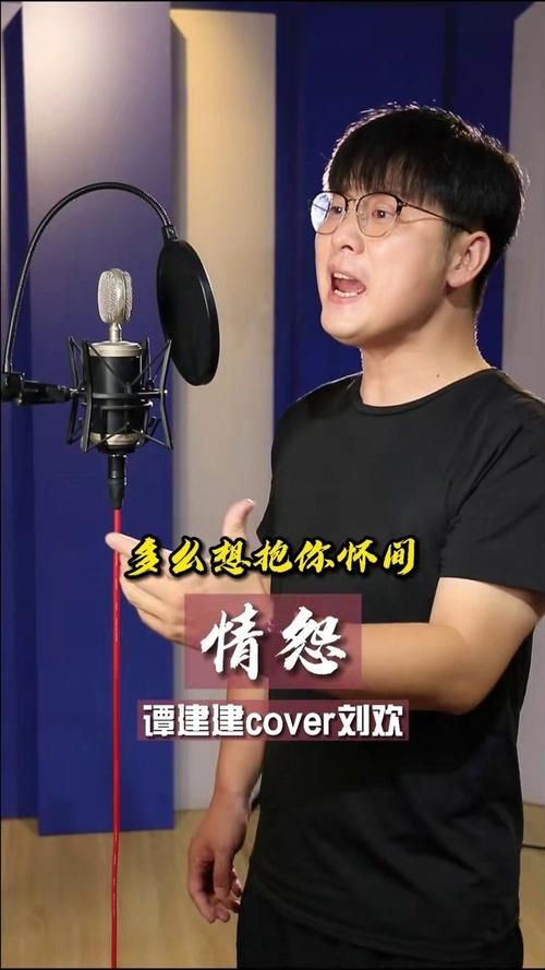 刘欢情怨是哪个电视剧