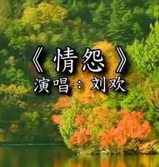 刘欢情怨评语