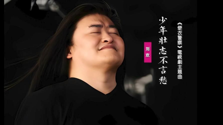 刘欢有一首什么少年