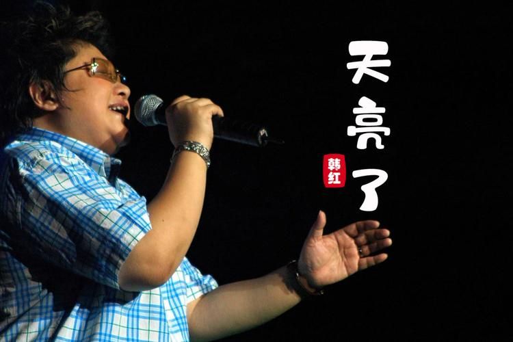 刘欢歌曲天亮了现场版
