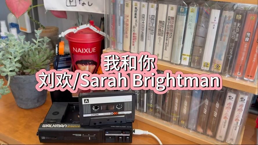 刘欢歌曲我和你英语歌词