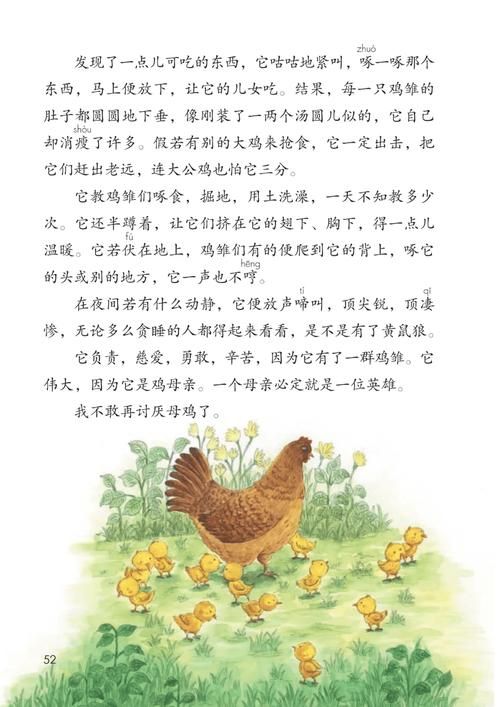 刘欢母鸡