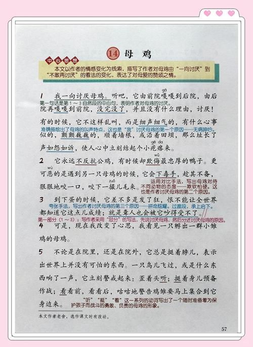 刘欢母鸡