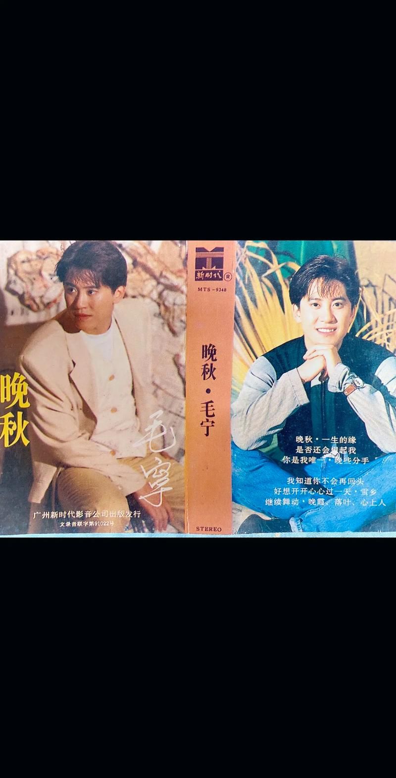 刘欢毛宁
