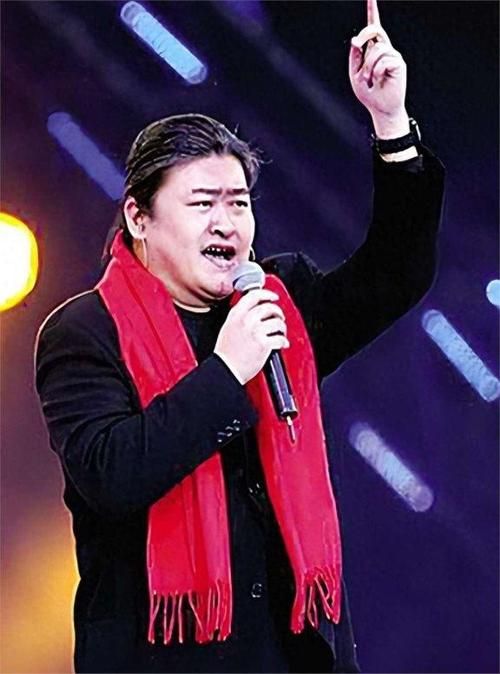 刘欢演唱会山茶花