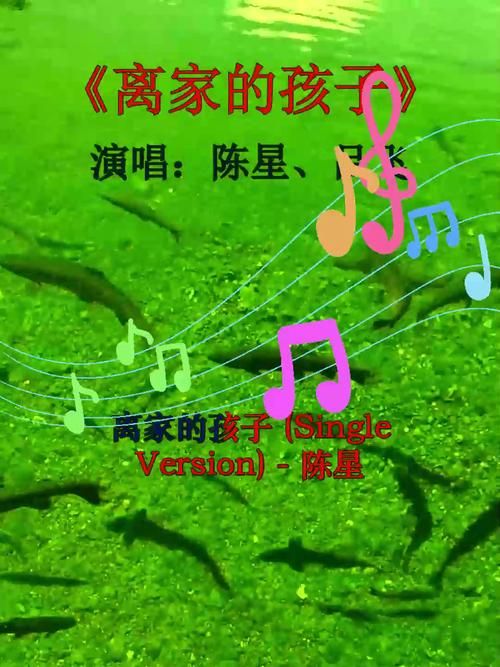 刘欢演唱的离家的孩子