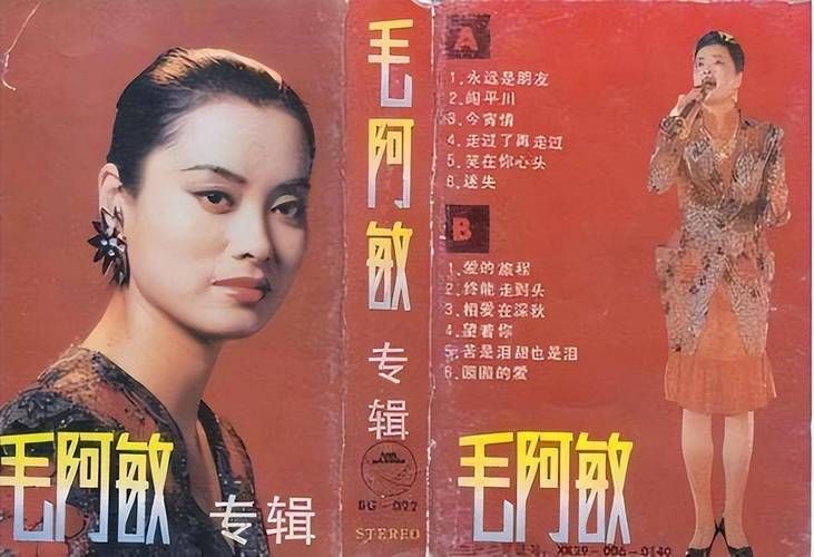 刘欢爱毛阿敏