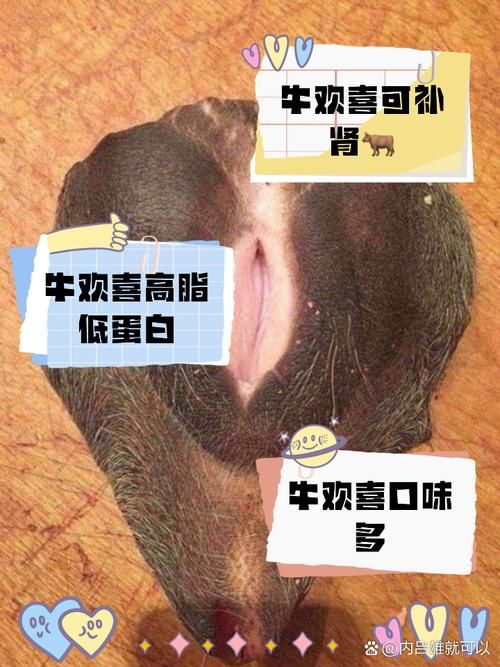刘欢玺