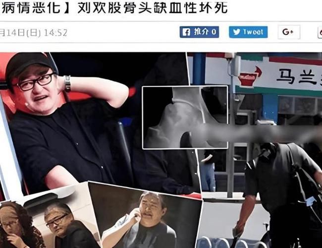 刘欢生病了