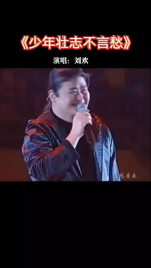 刘欢电视剧主题曲联唱