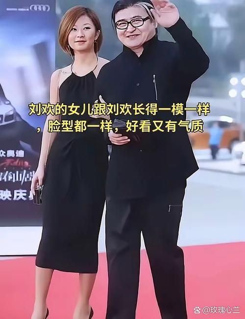 刘欢的女儿刘欢的歌