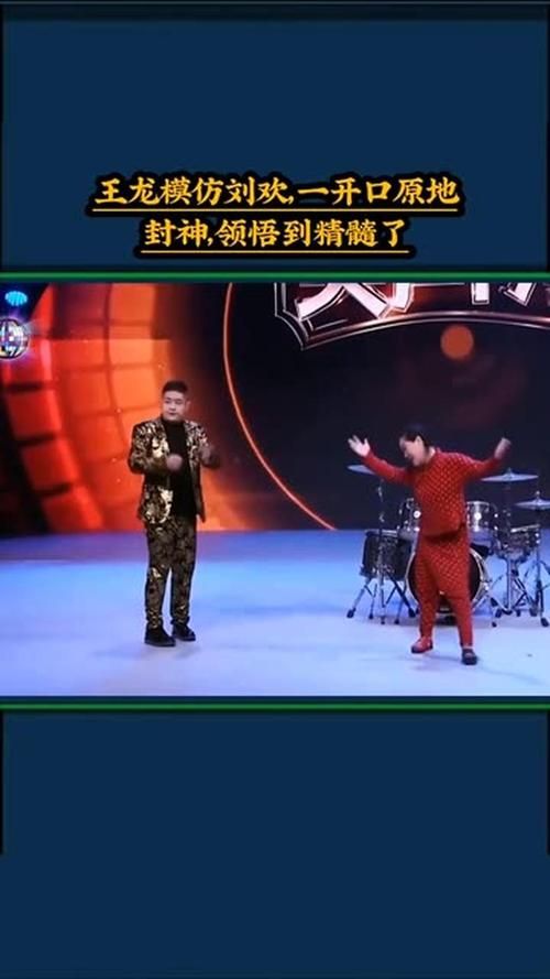 刘欢看王龙模仿刘欢