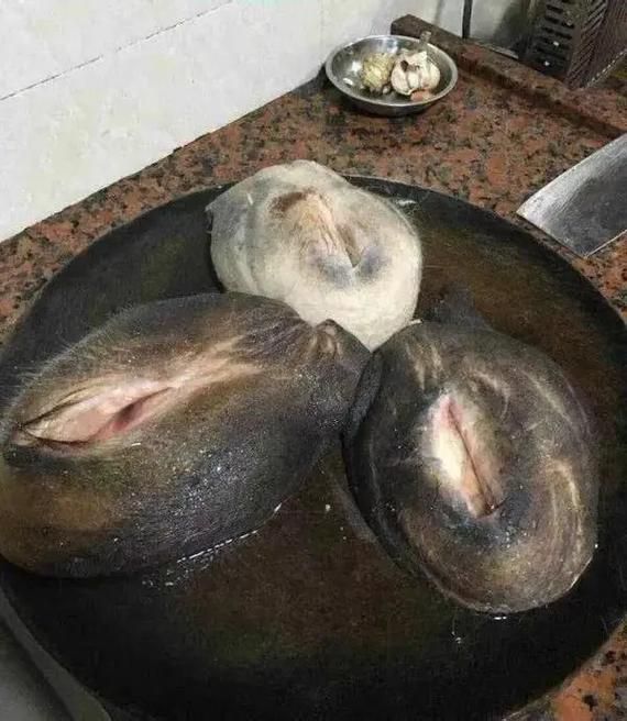 刘欢禧