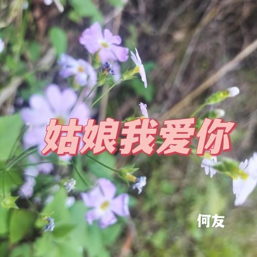 刘欢经典老歌姑娘我爱你