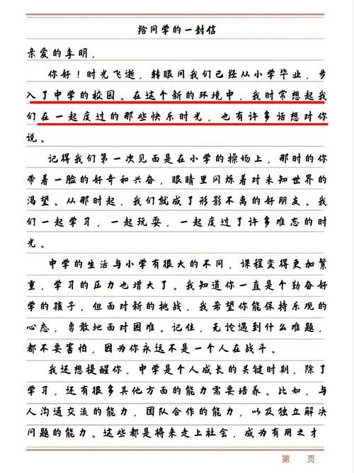 刘欢老师给同学们作文