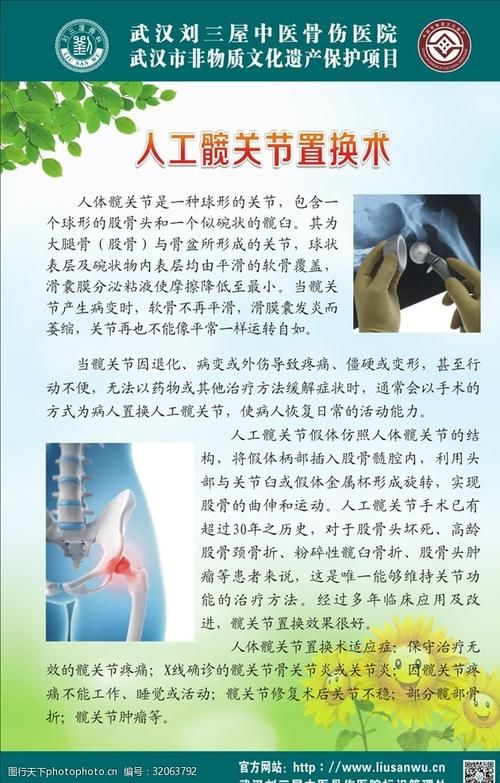刘欢讲人工髋关节置换