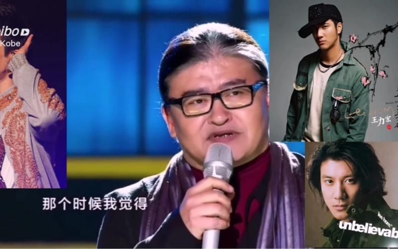 刘欢评价王力宏视频