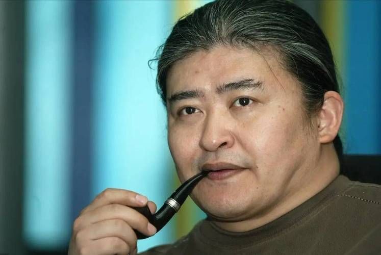 刘欢辫