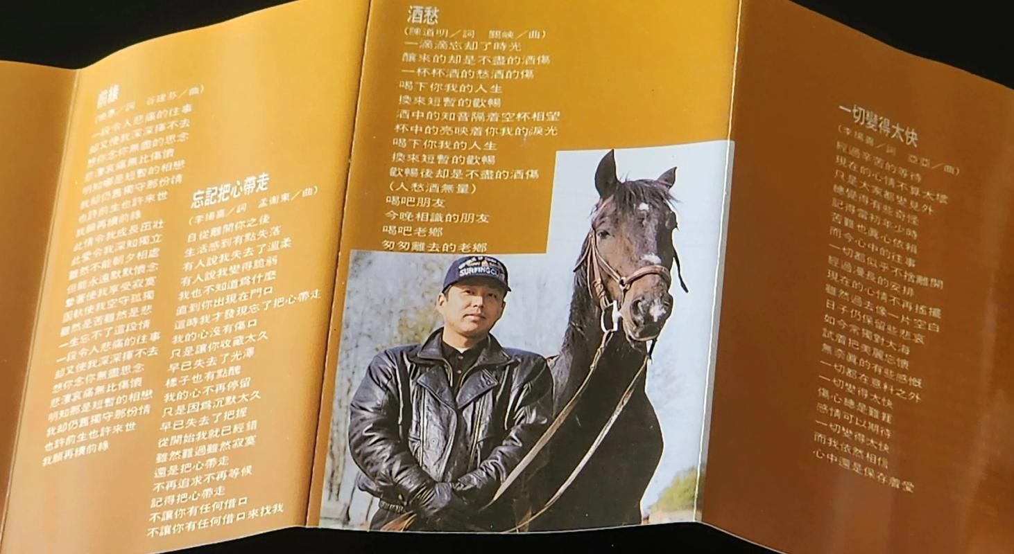 刘欢陈道明