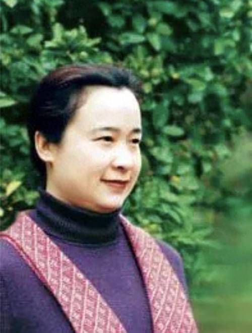 卢平与刘欢